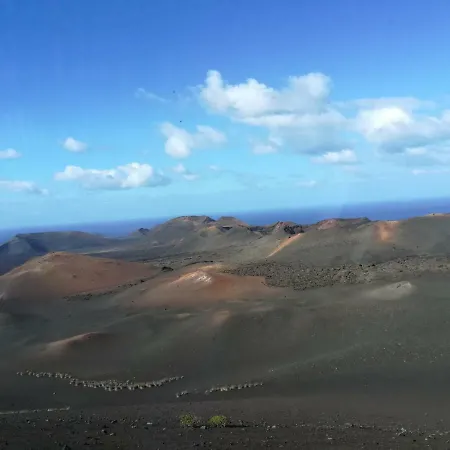 Papaya * Playa Blanca (Lanzarote)