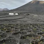 Papaya بلايا بلانكا