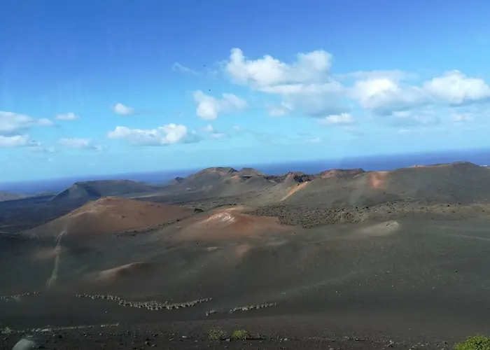 Papaya * プラヤ・ブランカ