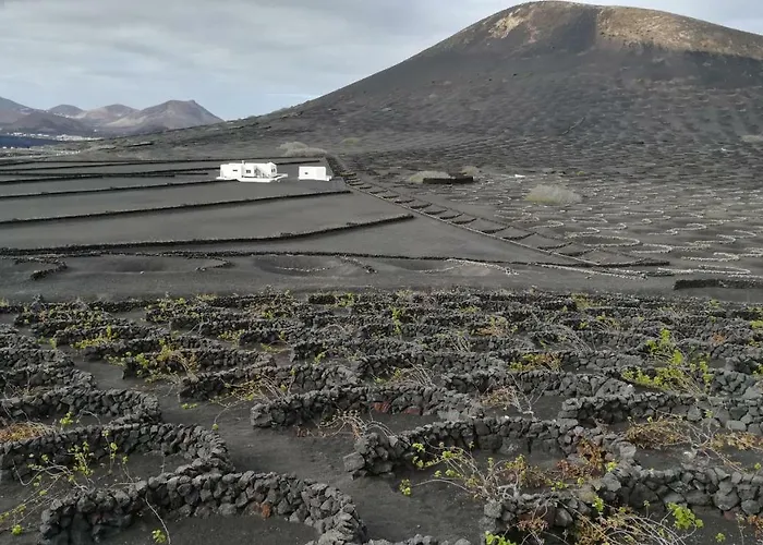 Papaya 플라야블랑카